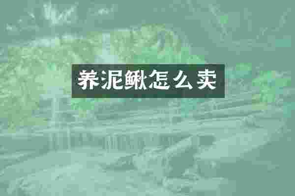 养泥鳅怎么卖