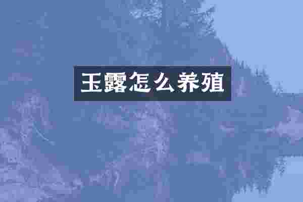 玉露怎么养殖