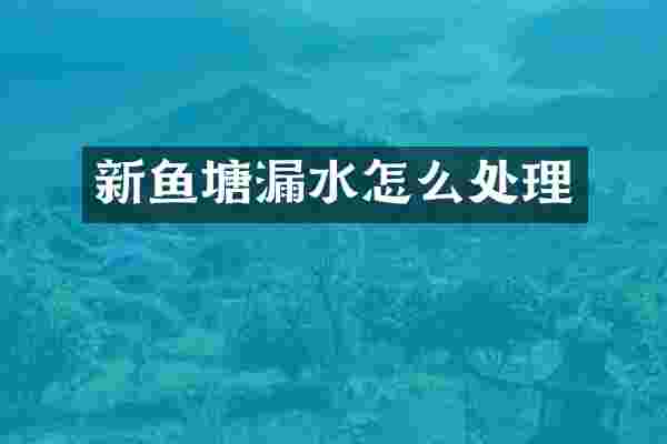新鱼塘漏水怎么处理