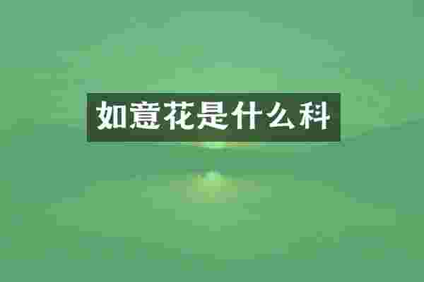 如意花是什么科