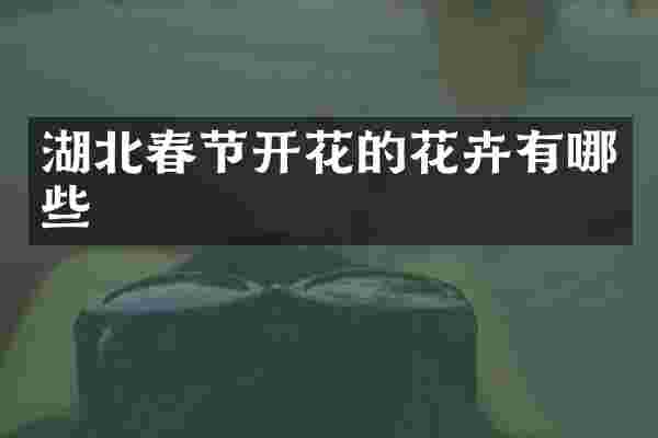湖北春节开花的花卉有哪些
