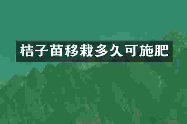 桔子苗移栽多久可施肥