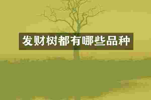 发财树都有哪些品种