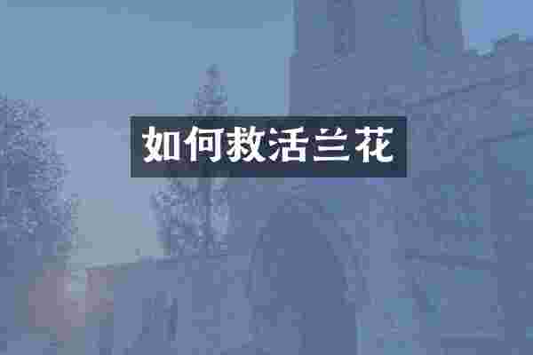 如何救活兰花