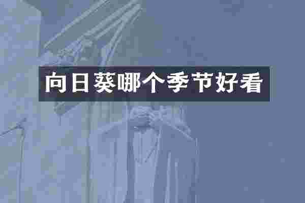 向日葵哪个季节好看