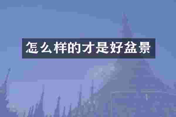 怎么样的才是好盆景