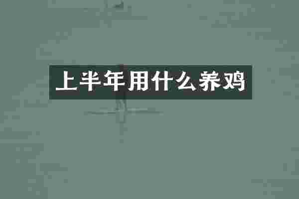 上半年用什么养鸡