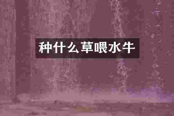 种什么草喂水牛