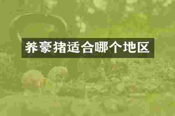 养豪猪适合哪个地区