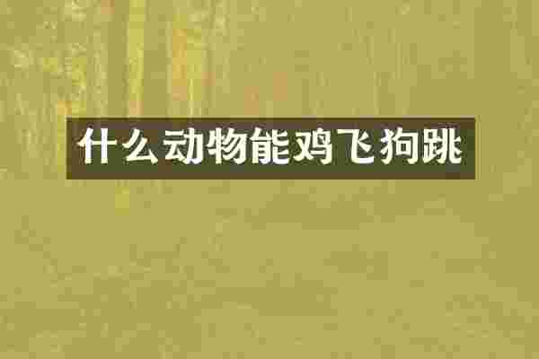 什么动物能鸡飞狗跳