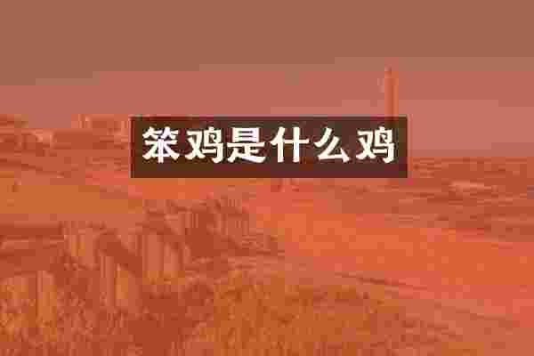 笨鸡是什么鸡