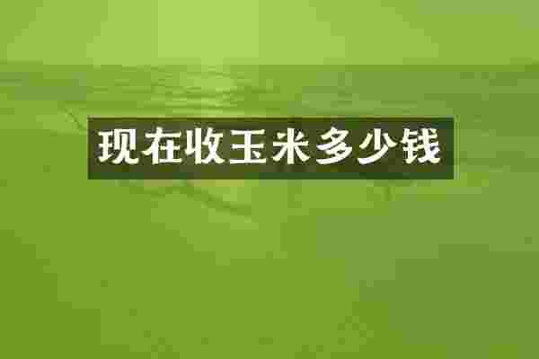 现在收玉米多少钱