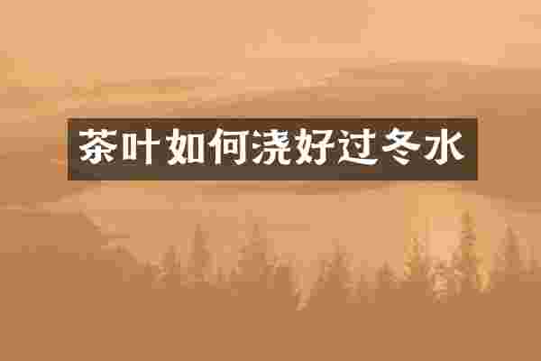 茶叶如何浇好过冬水