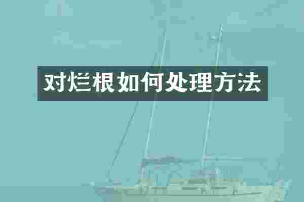 对烂根如何处理方法