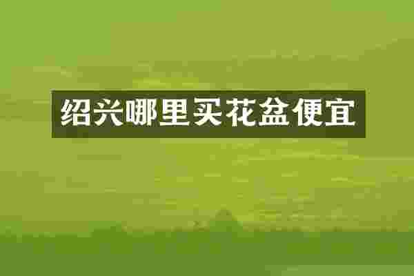 绍兴哪里买花盆便宜