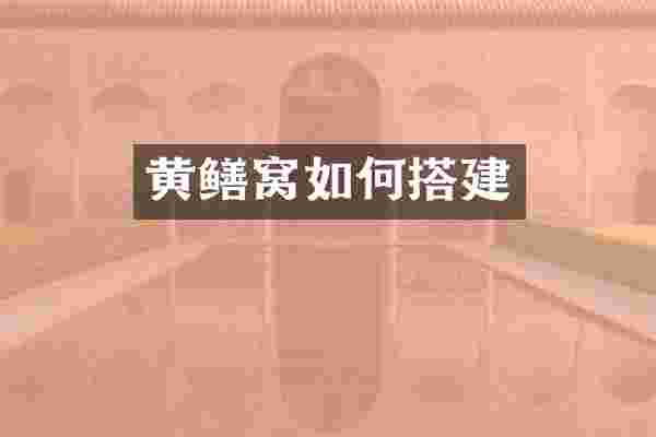 黄鳝窝如何搭建
