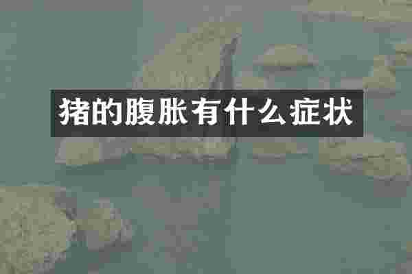 猪的腹胀有什么症状