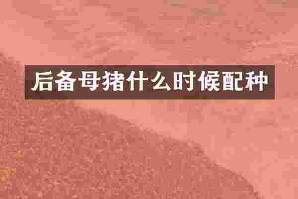 后备母猪什么时候配种