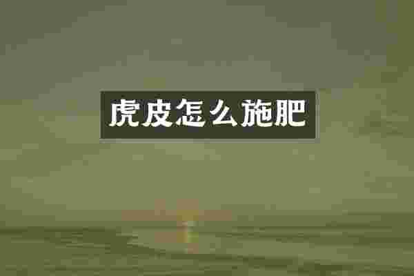 虎皮怎么施肥