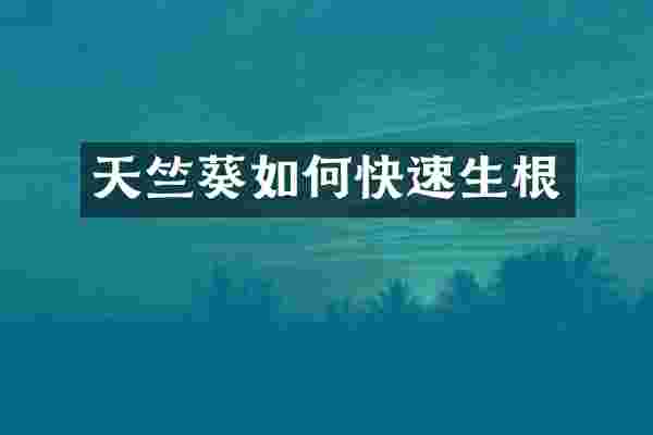 天竺葵如何快速生根