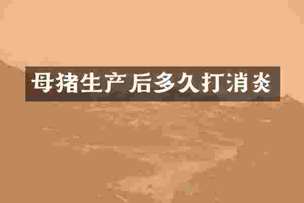 母猪生产后多久打消炎