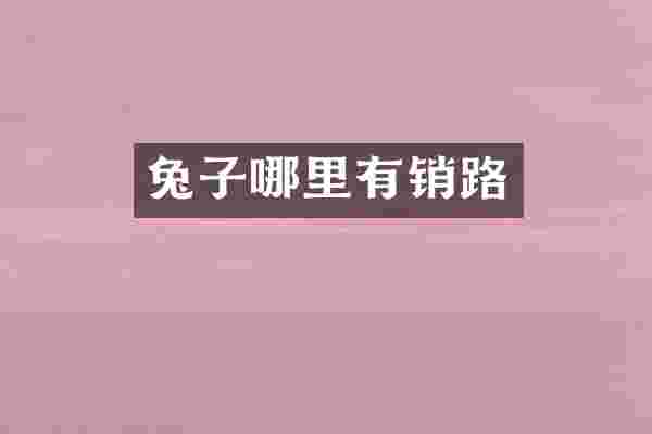 兔子哪里有销路