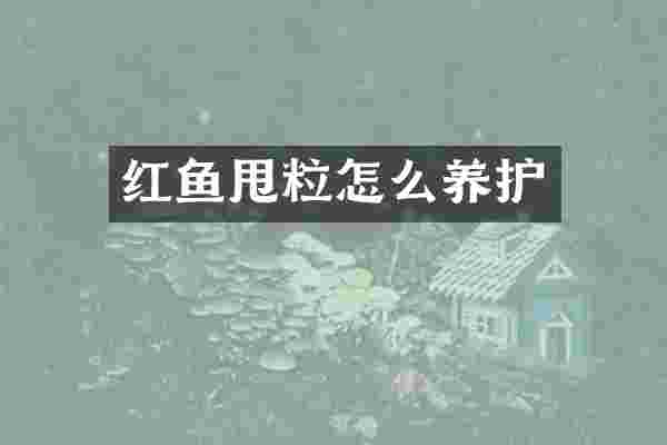 红鱼甩粒怎么养护