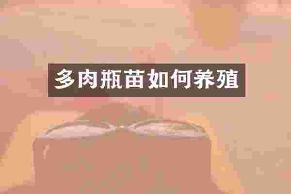 多肉瓶苗如何养殖