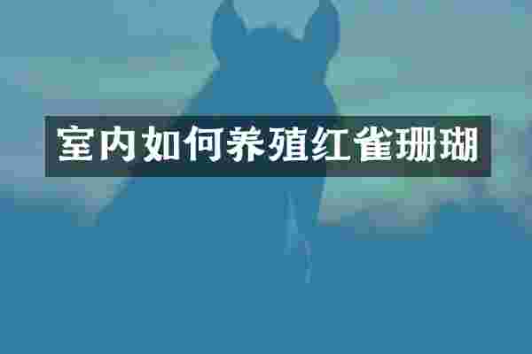 室内如何养殖红雀珊瑚