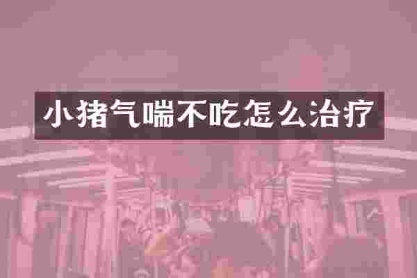 小猪气喘不吃怎么治疗