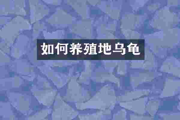 如何养殖地乌龟