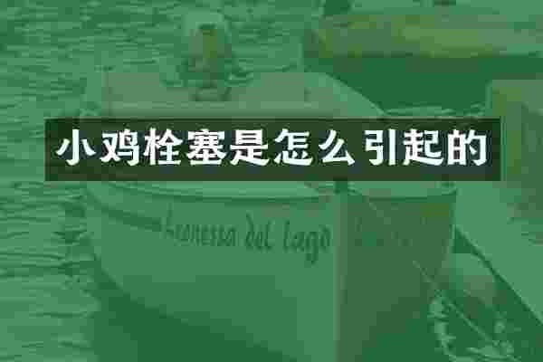 小鸡栓塞是怎么引起的
