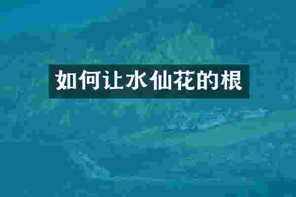 如何让水仙花的根