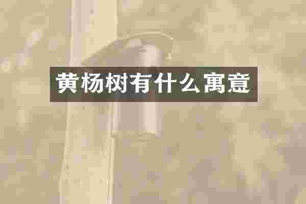 黄杨树有什么寓意