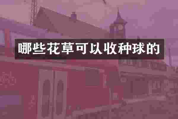 哪些花草可以收种球的