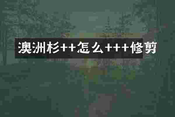 澳洲杉++怎么+++修剪