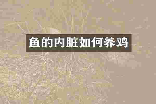 鱼的内脏如何养鸡