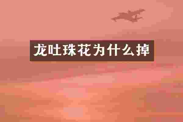 龙吐珠花为什么掉