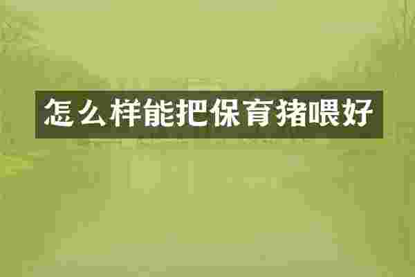 怎么样能把保育猪喂好