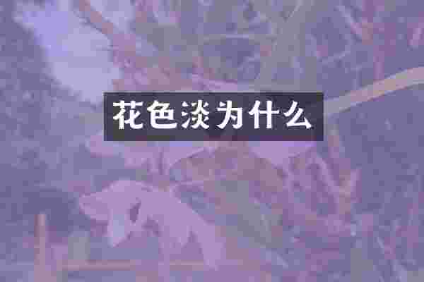花色淡为什么