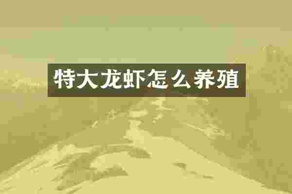 特大龙虾怎么养殖