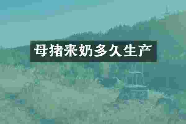 母猪来奶多久生产