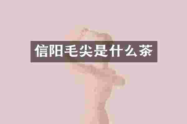信阳毛尖是什么茶