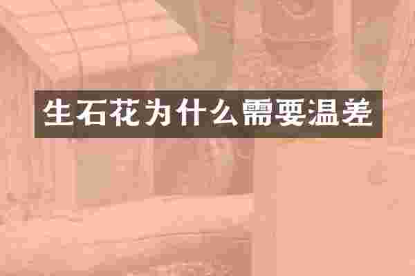 生石花为什么需要温差