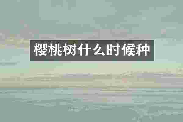 樱桃树什么时候种