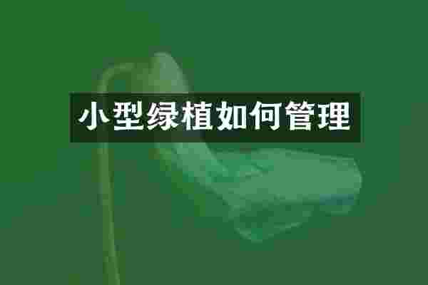 小型绿植如何管理