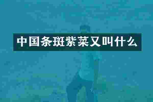 中国条斑紫菜又叫什么