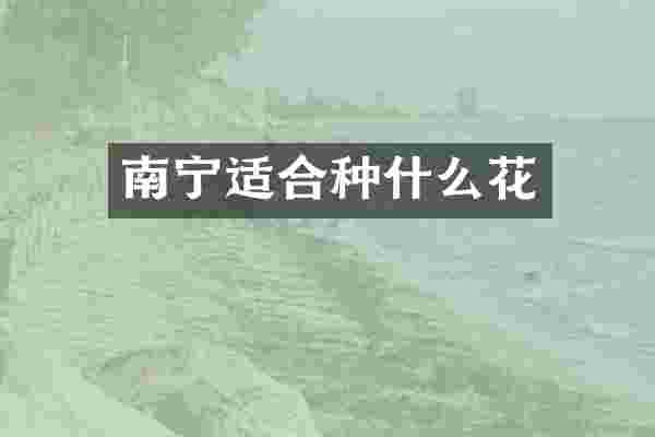 南宁适合种什么花