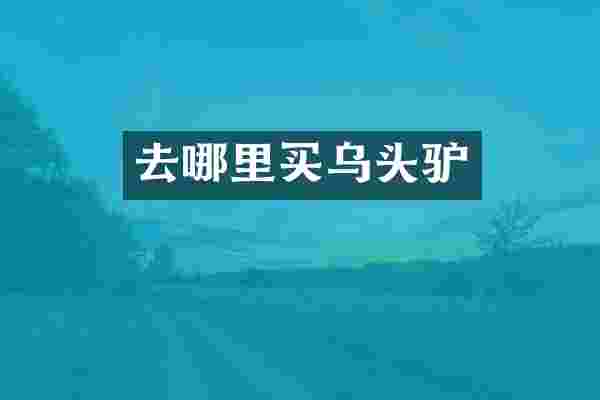 去哪里买乌头驴