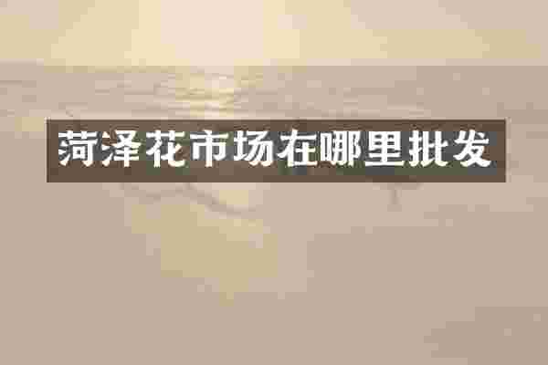 菏泽花市场在哪里批发